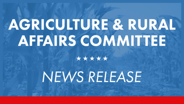 Senate Ag Committee to Consider Very Small Meat Processing Grant Program Update, Horse Racing Regulations Legislation